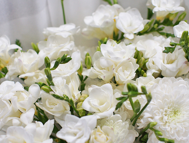 Bouquet of white freesias and chrysanthemums photo